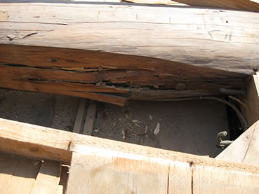 (1) シロアリが入り、梁が傷んでいる。